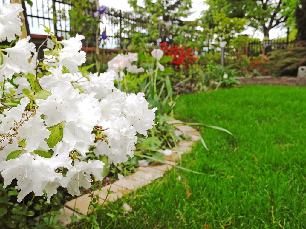 غوبيو B&B Dimora Morelli المظهر الخارجي الصورة
